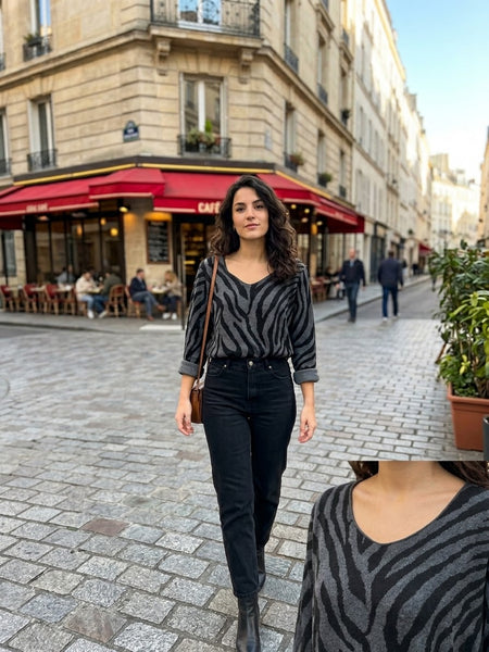 Pull Paris zèbre