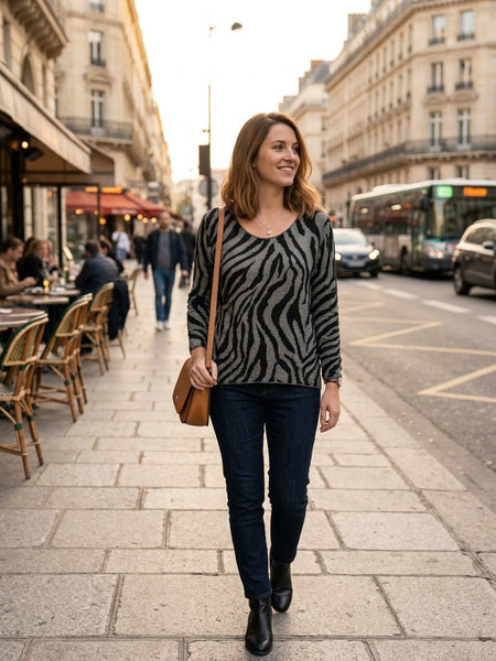 Pull Paris zèbre