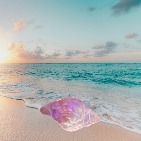 Pince de la mer mini